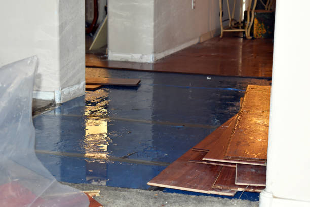 Professional Water Damage Restoration technician working in Dover, FL